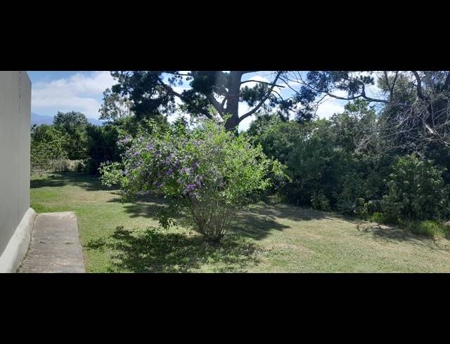 22.90HA FARM FOR SALE IN RUITERBOS